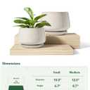 LE TAUCI Ceramic Plant Pots, Set of 2, 10 + 12 Inch Plant Pot, Elegant Planters for Indoor Plants, Sturdy Planter with Drainage Hole and Saucers, Perfect for Home Decor, Reactive Glaze Beige
