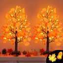 2 Pack 24 Inch Artificial Lighted Maple Tree with 48 LEDs Timer Fall Thanksgiving Decorations Battery Operated Prelit Acorn Maple Tree Lights for Thanksgiving Table Decor Home Indoor Autumn Harvest