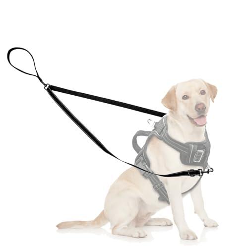Two Point Control Dog Leash Soft Padded and Reflective Nylon Walking Lead No Tangle Training Leashes Converts to Single Lead Works with No Pull Harnesses for Medium Large Dogs (Black)