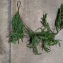 2 Pack Christmas Norfolk Pine Garlands 9FT, Real Touch Artificial Greenery Garland – Full Evergreen Pine Garland for Mantle, Fireplace, Table, Wall, Stairs & Outdoor Holiday Décor