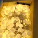 147ft Globe String Lights Outdoor Waterproof, 300 LED Indoor Christmas Lights Plug in with Remote, Hanging Fairy Light for Bedroom Holiday Party Patio Garden Christmas Decorations, Warm White