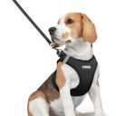 rabbitgoo Dog Harness Small Medium Sized and Leash Set, Step in Soft Light Puppy Vest, Breathable Mesh Pet Harness, Reflective for Safe Easy Walking, Black L (L (Chest: 18.2 - 20.5"))