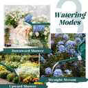 1 Gallon Watering Can, Garden Watering Can Outdoor, Plant Water Can with Removable Long Spout and Stainless Steel Sprinkler Head, Plastic Indoor Watering Cans for Gardening Flower Plants,  Alpine Green