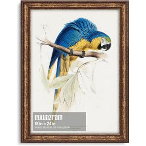 18x24 Antique Gold Picture Frame - Single Frame, 18 x 24 Ornate Vintage Poster Frame for Wall Decor & Gallery Walls