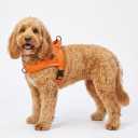 Didog Soft Flannel Padded Dog Vest Harness, No Pull/Quick Fit Reflective Dog Strap Harness, Easy for Training Walking (S:Chest 18-22", Orange)