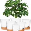 GARDIFE Plant Pots 8/7/6.5/6/5.5/5 Inch Self Watering Planters with Drainage Hole, Plastic Flower Pots, Nursery Planting Pot for All House Plants, African Violet, Flowers, and Cactus,White