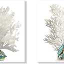 JAPO ART White Coral Wall Art Beach Bathroom Decor Sea Shell Pictures Coastal Wall Decor Sea Fan Nautical Painting Coral Pictures for Livingroom Bedroom Home Walls 16x16Inchx2pcs