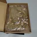 KUUQA 48 Pcs Mini Christmas Trees Bottle Brush Trees Tabletop Model Trees for Christmas Decoration DIY Room Decor Winter Decoration Diorama Models (Gold), Small Size Trees