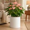 Giraffe Creation 14-Inch Round Cylinder Plant Pot, Modern Indoor/Outdoor Planter with Drainage Hole, Saucer & Water Reservoir, White