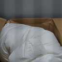 Casper Sleep Essential Pillow 2-Pack, King Size Medium Soft Feel, Down-Alternative Fill, Supports Side, Back & Stomach Sleepers
