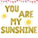 16pcs Gold Foil Letter Balloons - You Are My Sunshine - Baby Shower, Birthday, Theme Party - Unisex Adults and Children