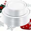 I00000 102pcs Silver Plastic Plates, Disposable Plastic Party Plates with White Silver Rim Fancy Wedding Party Plates Include 51 Dinner Plates 10.25" and 51 Dessert Appetizer Plates 7.5"