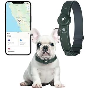 2-in-1 GPS Tracker for Dogs: Smart Collar with Real-Time Location, No Monthly Fee, Unlimited Range (iOS Only) GPS Tracker Dog Collar- Ideal for Small, Medium Large Dogs(Tracker Included)(Green), S
