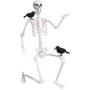 Wocst 6Ft Life Size Skeleton Posable Skeleton with Movable Joints Halloween Full Body Plastic Human Bones with 2PCS Black Crows for Halloween Indoor Outdoor Decor