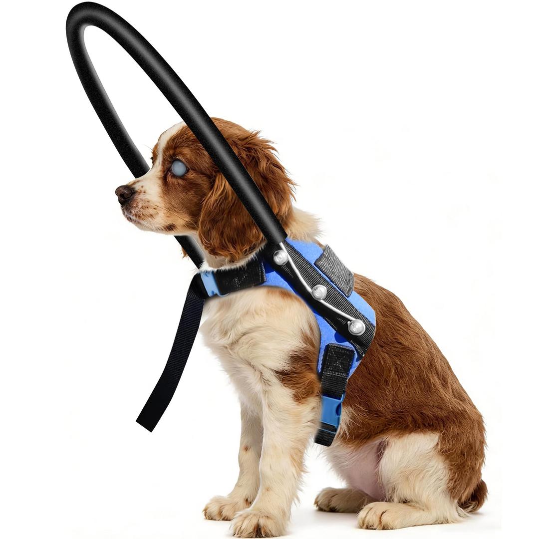 LetPetRun Protective Halo Harness for Blind Dogs,Adjustable Protective Ring Collar Vest, Safe Walking Navigation Aid for Visually Impaired Dogs (22"-26")