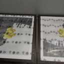 12x16 Picture Frame Set of 6, Display Pictures 11x14 with Mat or 12x16 Without Mat,Wall Gallery Photo Frames, Brown