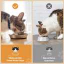 Cat Bowls, 2 Pcs Stainless Steel Cat Bowls for Food and Water, Whisker Fatigue Shallow Non-Slip Dishes Plates for Small Dog Puppies Cats