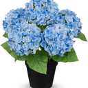 Artificial Hydrangea Flowers in Pot, True Touch Latex Faux Hydrangea Plant, Realistic Blue Potted Flower Arrangement for Home Decor, Table Centerpiece, Office Desk, Wedding Decor, Indoor Fake Plant