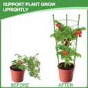 KLS 3 Pack Tomato Cage for Pots Plant Support, Upgrade 36 Inches Tomato Cages for Garden, Pepper Cage Trellis Kit with Plant Tie and Clips (36")
