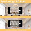 12-Pack E12 LED Bulb, 60 Watt Equivalent, Dimmable 2700K Warm White Light, B11 Chandelier Light Bulbs, 5.5W 500LM Candelabra LED Light Bulbs for Ceiling Fan Home Decor