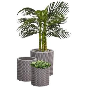 Keter Cylinder Set of 3 Rattan Resin Planter for Indoor and Outdoor Plants Ideal Decorative Planter for Porches and Patio Decor, Taupe