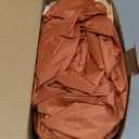 Spinosaurus Inflatable Squirrel Costume for Adult Christmas and Thanksgiving - Funny Blow Up Animal Suit for Halloween - Men and Women