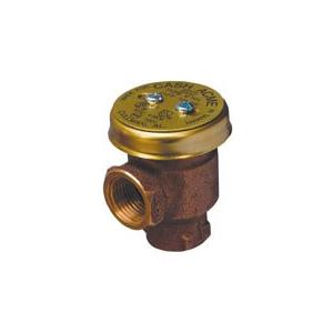 Cash Acme 1/2 Inch V-101 Anti-Siphon Vacuum Breaker, Brass Plumbing Fitting, 17383-0000