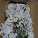 Scawim Flowers in Mason Jars for Table, 10 Set Artificial Hydrangea Table Centerpieces Glass Flowers Vases Decor for Home Party Wedding Farmhouse Bridal Shower Graduation Boho Decorative(White)