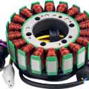 Road Passion 2.1.01.2060 2.1.01.2010 Stator Coil Compatible with Buyang 300 Feishen 300cc Big power, Buyang 300cc ATVs FA-H300, FA-D300-300cc ATV 300B (2x4, 4x4 and 4x4 IRS)