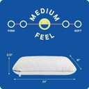 Sealy Dreamlife Queen Size Memory Foam Cooling Pillow with Surface Guard Technology, Removable Machine-Washable Cover, White (2 Pack)