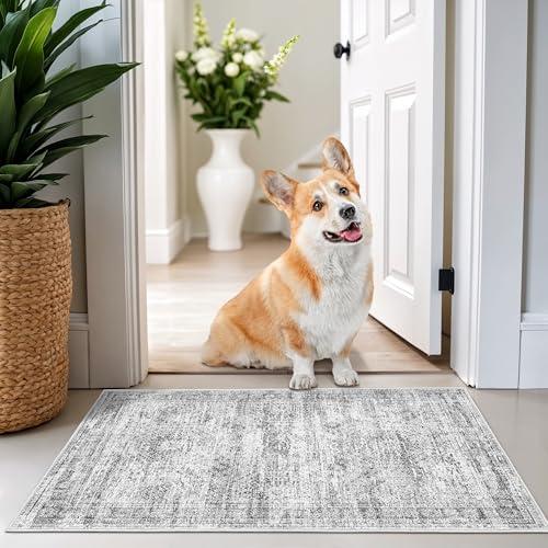 Restydon 2x3 Washable Rug Runner for Bathroom, Soft Entryway Rug for Laundry Room, Kitchen, Vintage Abstract Hallway Runner for Bedroom, Anti-Slip Door Mat Indoor Entrance(2'x3', Grey/Ivory)
