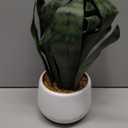 Artificial Snake Plant 22.5" Faux Agave Fake Sansevieria Artificial Potted Plants for Indoor and Outdoor Home Office Dcor (White Pot)