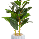 Juvale Small Artificial Ficus Plant Potted in Small Gray Cement Planter for Home Decor (11.8 in)
