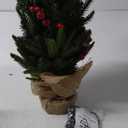 Brizled Smart Mini Christmas Tree, 22.8in DIY Smart-Lit Tabletop Tree with 75 LED RGB Lights, App/Voice Control 159+ Scenes Mini Xmas Tree USB C Music Small Tree Work with PD Power for Fireplace Desk (Green)