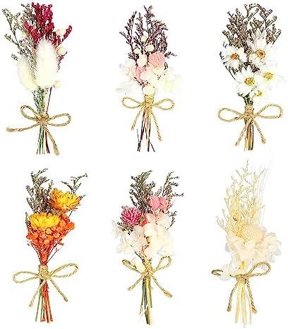 Chenkaiyang 6Pcs Mini Dried Flowers Bouquet, Mixed Natural Dried Flowers Gypsophila Bouquets Boutonniere Table Centerpieces Birthday Cake Flowers for DIY Crafts with 3 Flower Stickers 10m Hemp Rope