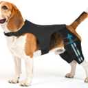 Dog Knee Brace for Torn ACL CCL Adjustable Dog Rear Leg Support Brace with 4 Metal Stabilizers, Helps with Luxating Patella, Ligament Injuries & Hip Dysplasia,M