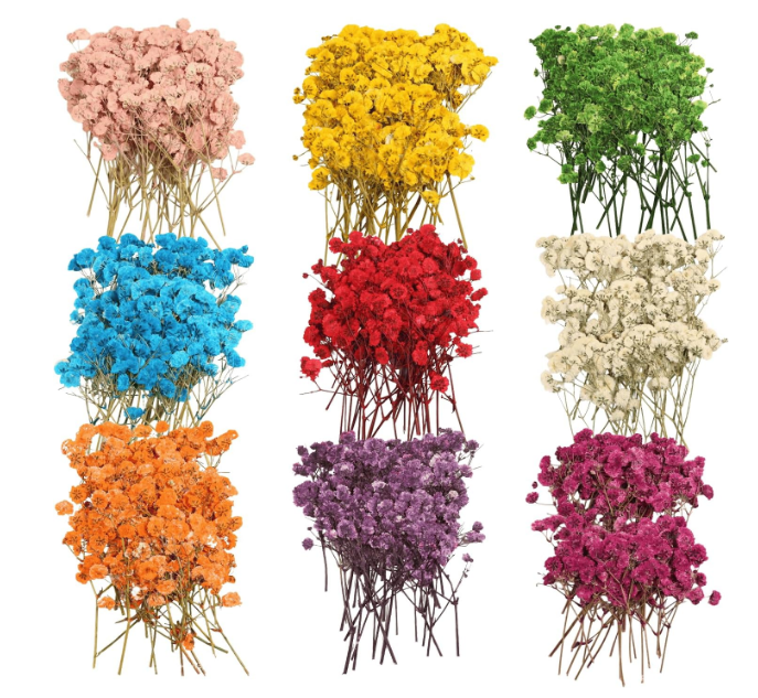 QinXunTa 9 Pack Dried Flowers, Natural Pressed Flowers Kit for DIY Crafts, Scrapbook, Card Making,9 Colors