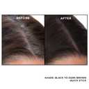 EVERPRO Gray Away Root Touchup Quick Stick, Black/Dark Brown, 0.1 Oz