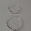 iBorn Plastic Bird Bath Bowl for Outside on Ground,Bird Water Dish Repalcement,Indoor/Outdoor Ground Bowl 6.78inch,2 Pack