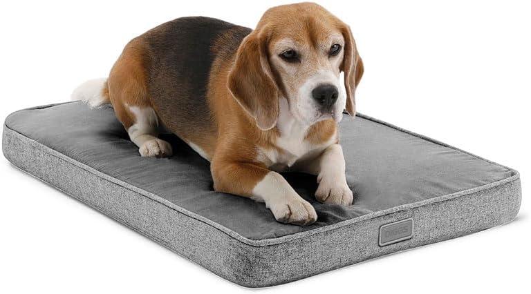Diggs Snooz Memory Foam Dog Bed - Ideally Sized Revol Dog Crate Pad - Premium Orthopedic Pet Bed for Crate or Home - Grey, Medium Diggs Snooz Memory Foam Dog Bed - Ideally Sized Revol Dog Crate Pad - Premium Orthopedic Pet Bed for Crate or Home - Grey, Medium
