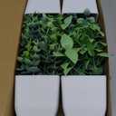 Der Rose 4 Pack Fake Plants Mini Artificial Greenery Potted Plants for Home Decor Indoor Office Table Room Farmhouse Bathroom Decor (Grey)