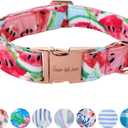 Unique style paws Dog Collar Metal Buckle Watermelon Collar Gift Durable Cute Collar for Small Medium Large Boys Girls Dogs