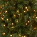 National Tree Company 5 ft Pre-Lit North Valley Spruce Artificial Christmas Tree, 300 Warm White LED Lights, 488 Tips, Includes Stand, Green