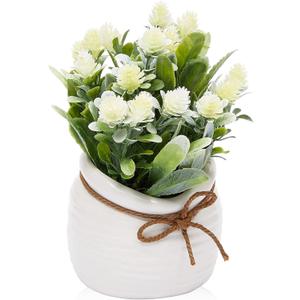 Juvale White Artificial Flower Arrangement with Vase - Bathroom Decor Accent with Artificial Flowers & Vase - Farmhouse Centerpiece & Home Decor Accent - 3.5 x 6 in, Plastic, Round, Pack of 1 Juvale White Artificial Flower Arrangement with Vase - Bathroom Decor Accent with Artificial Flowers & Vase - Farmhouse Centerpiece & Home Decor Accent - 3.5 x 6 in, Plastic, Round, Pack of 1