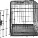 Amazon Basics Portable Metal Wire Dog Crate with Removable Tray, Single Door with Divider Panel, Foldable, Collapsible, Easy to Assemble & Clean, 36" x 23" x 25", Black