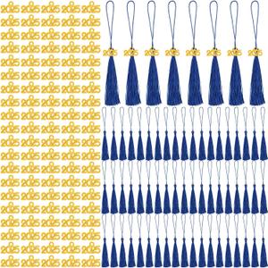 Cindeer 100 Pcs Mini Graduation Tassels with 100 Pcs 2025 Tassel Charms for Crafts Mini Silky Bookmark for Graduation Cap Keychain Ornaments DIY Craft Jewelry Making Project(Blue)