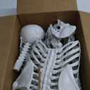 CAMIRUS 5PACK Halloween Skeleton Decorations, 16" Full Body Mini Skeletons with Poseable Joints for Yard, Garden, Lawn, Patio, Party Favors & Decor, 5pcs