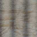 5x7 Area Rugs Beige Low Pile Indoor Washable Trendy Faded Style Floral Rugs for Bedroom Living Room Dining Room Foldable Non-Slip Thin Print Mat