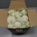 Tigeen Artificial Flowers Artificial Peonies Silk Flowers Faux Peony Fake Peony Silk Hydrangea Bouquet for Wedding Table Centerpiece Floral Vase Decor (White,Green,12 Bundles)