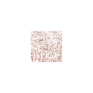 Canyon Accent Rug 24x36Inc